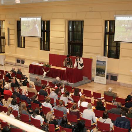 Nagyobb kép megtekintése