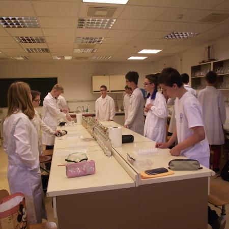 Nagyobb kép megtekintése