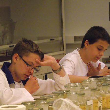 Nagyobb kép megtekintése