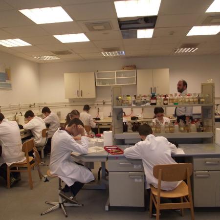 Nagyobb kép megtekintése