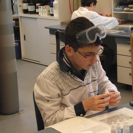 Nagyobb kép megtekintése