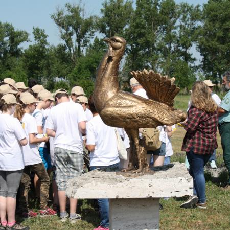 Nagyobb kép megtekintése
