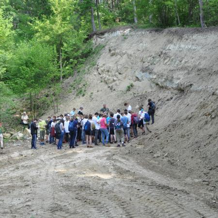 Nagyobb kép megtekintése