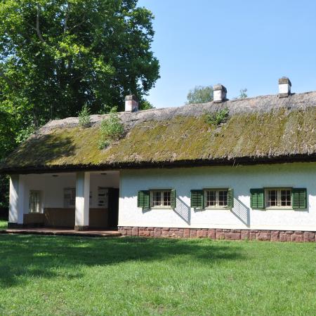 Nagyobb kép megtekintése