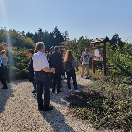 Nagyobb kép megtekintése